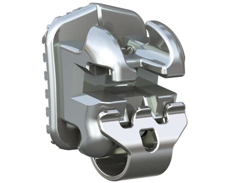 metal brackets act as springs buttons|Empower® Metal Brackets .